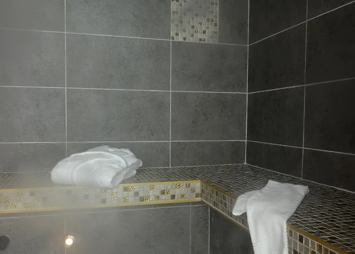 Grand Et Centre Thermal Hotel Yverdon-les-Bains