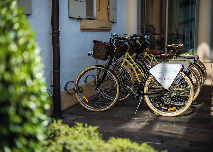 Hotel Grand Et Centre Thermal Yverdon-les-Bains